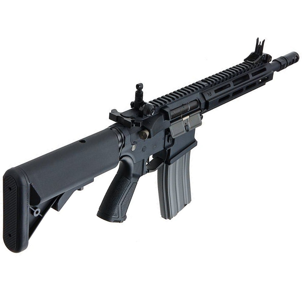 G&G - CM16 Raider 2.0