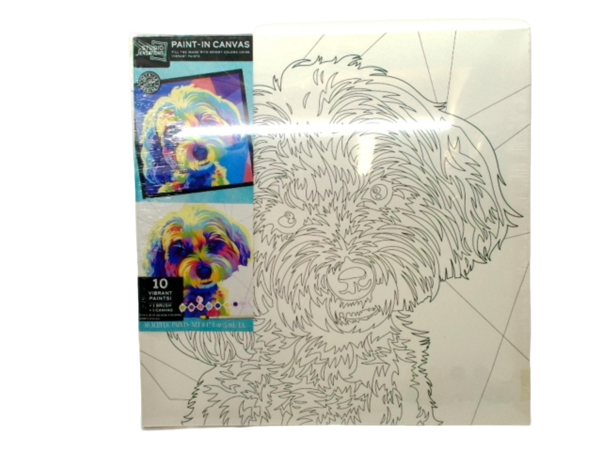 Dog Paint by Numbers Canvas 20x20 - Studio Sensations - Brantford Surplus