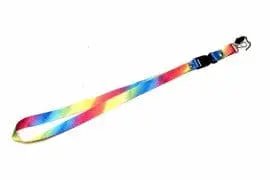 Lanyard - rainbow - Brantford Surplus