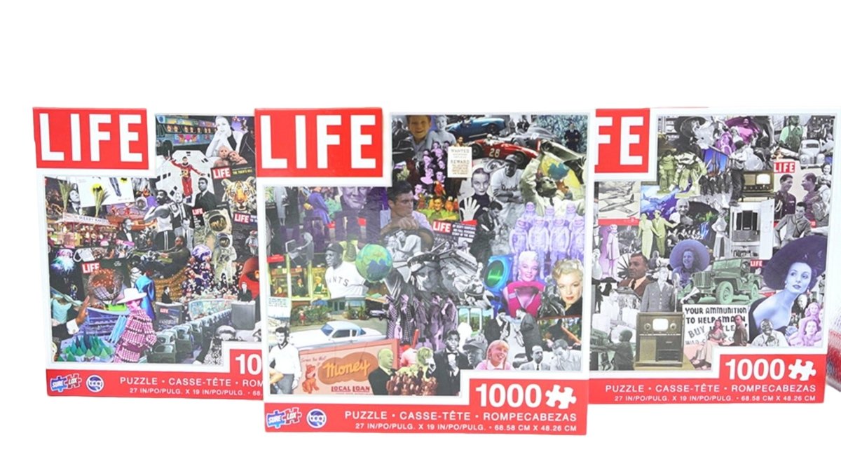 Life 1000 Piece Jigsaw Puzzle – Assorted Designs - Brantford Surplus