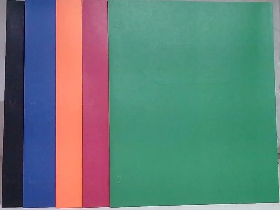 Portfolio Twin Pocket Ass't Colours Or 6/$0.99 - Brantford Surplus