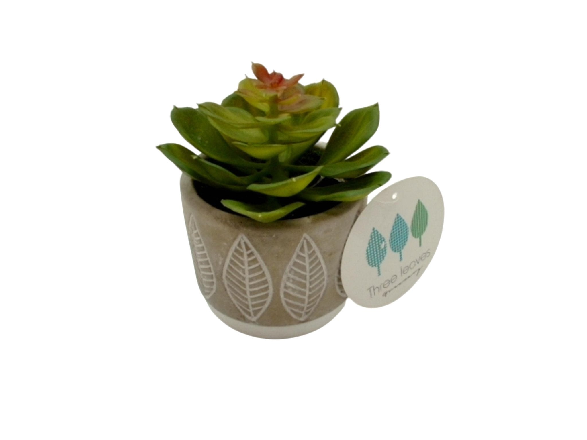 Small Faux Succulent Decor in Cement Pot - Brantford Surplus