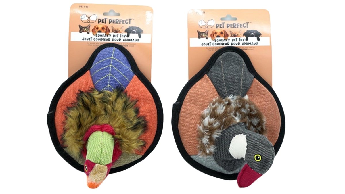 Squeaky Duck Dog Toy - Assorted Colors by Pet Perfect - Brantford Surplus