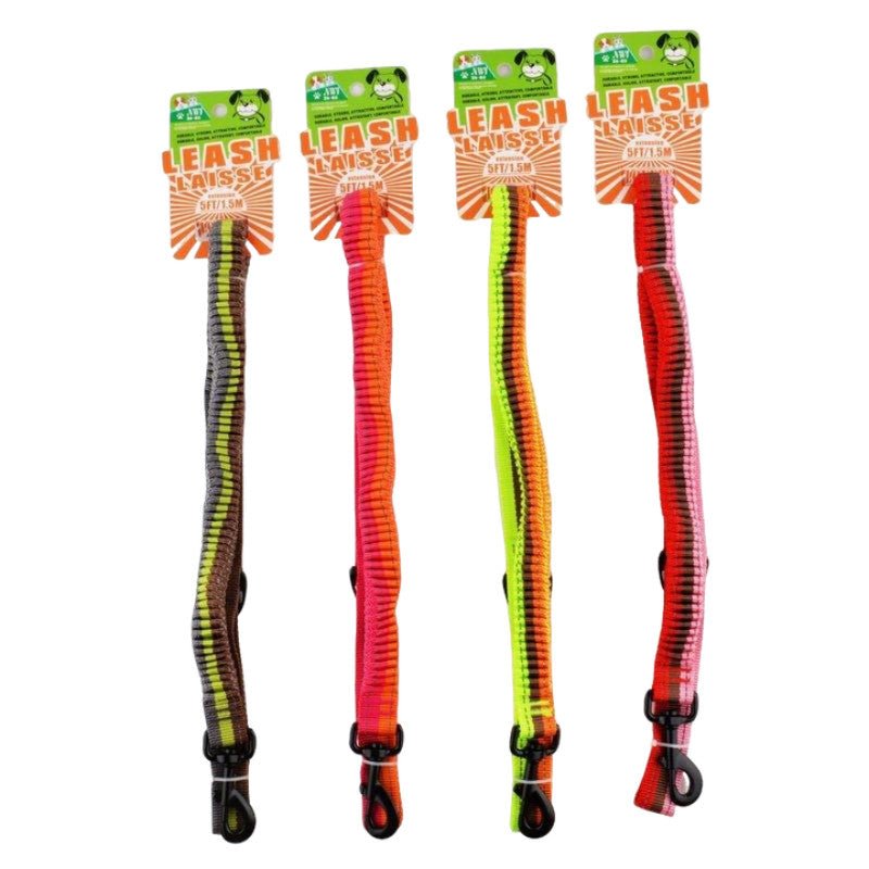 Stretchable Dog Leash 5FT - Assorted Colors - Brantford Surplus
