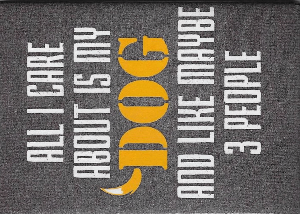 Funny Magnets - Brantford Surplus