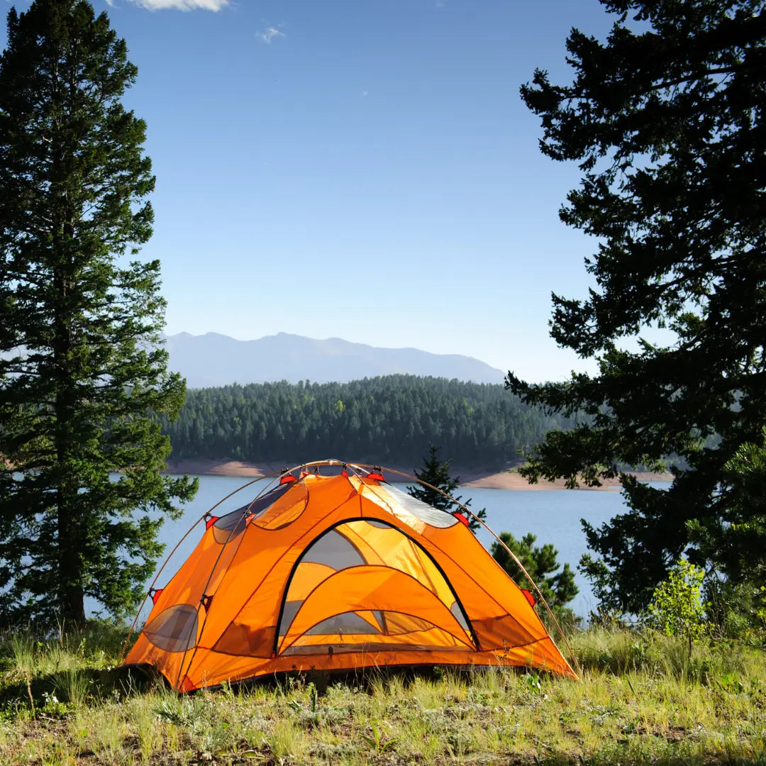 Tents Brantford Surplus