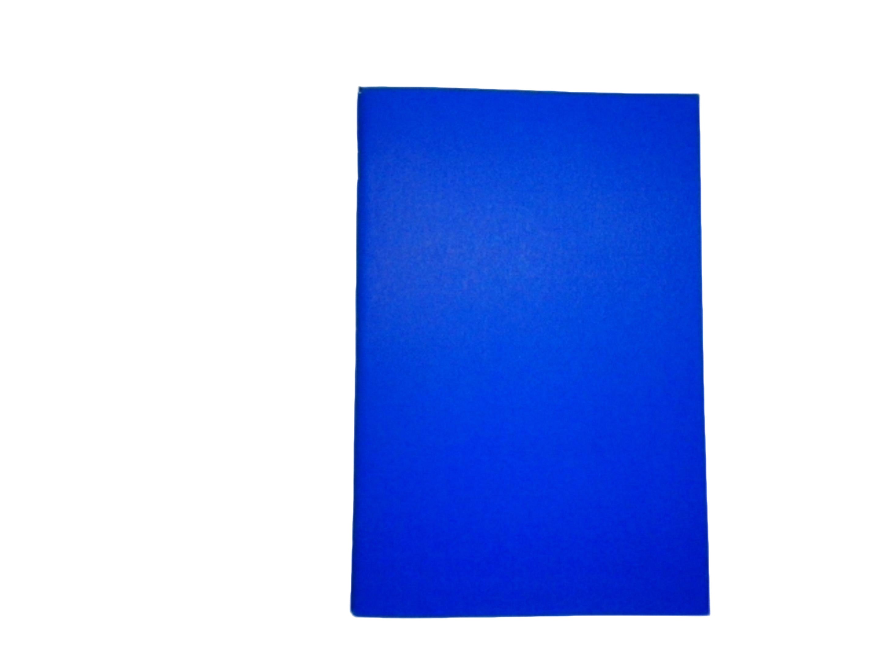 Blue Conference Notebook 6x9 Lined Pages - Spector & Co.