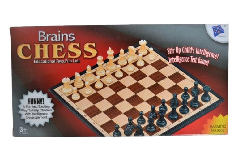 MAGNETIC BRAINS CHESS TRAVEL GAME - Brantford Surplus