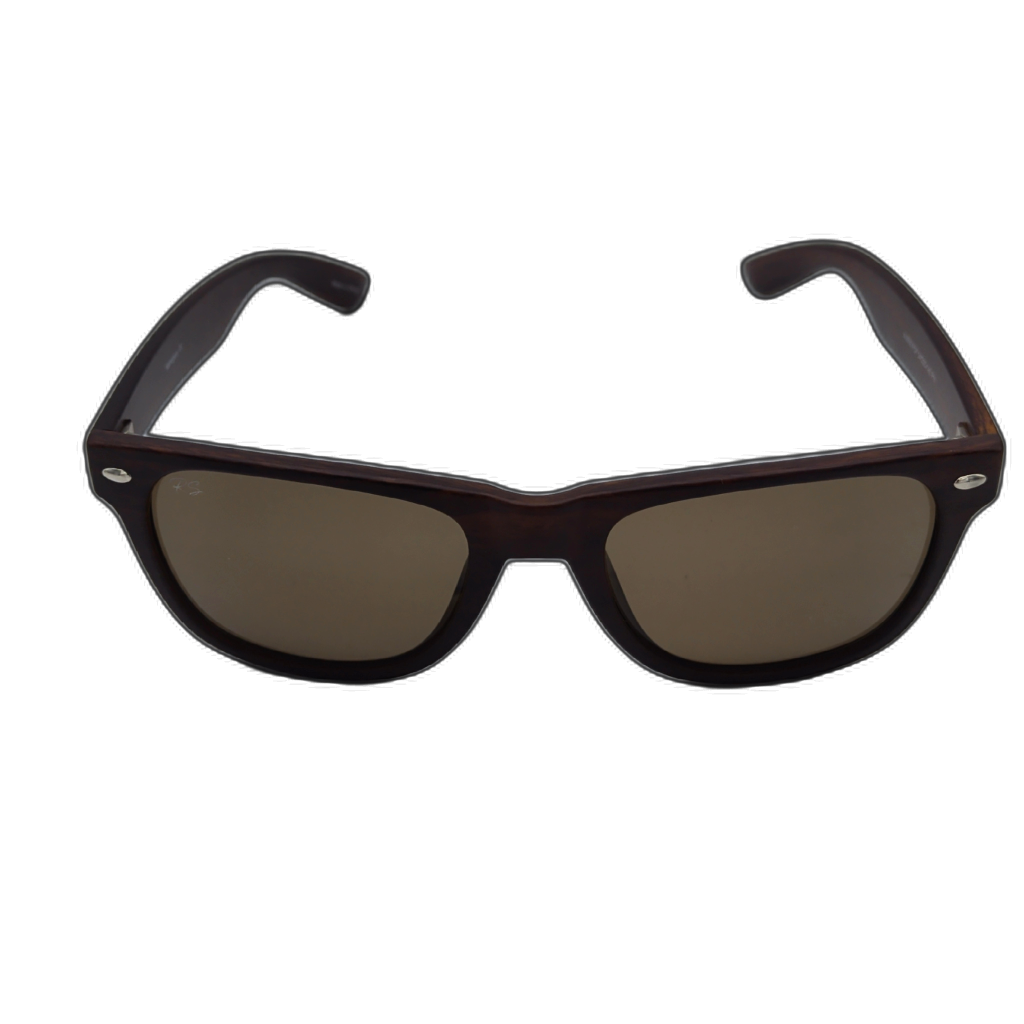 Polarized Men's Sunglasses with Case Mahogany Style — detail