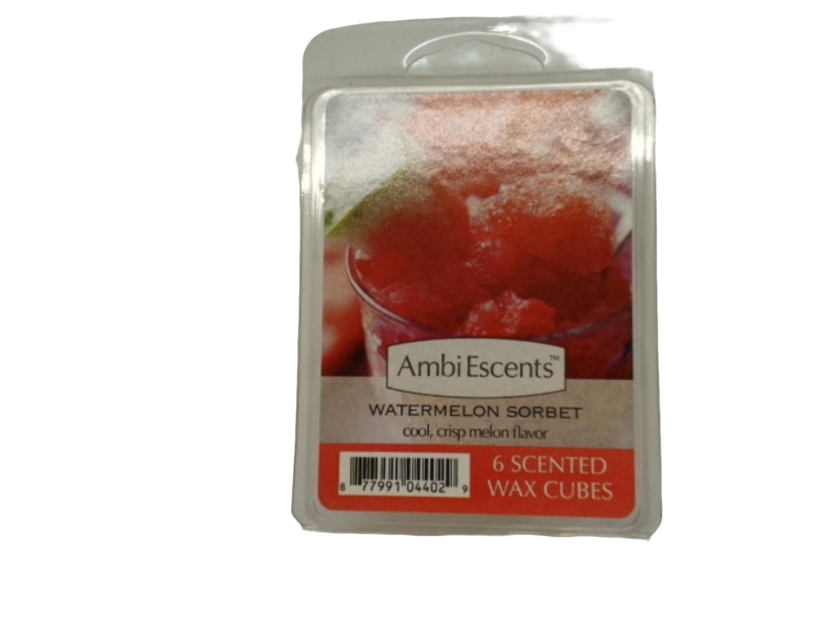 Wax Melts 2oz. Watermelon Sorbet Ambi Escents - Brantford Surplus