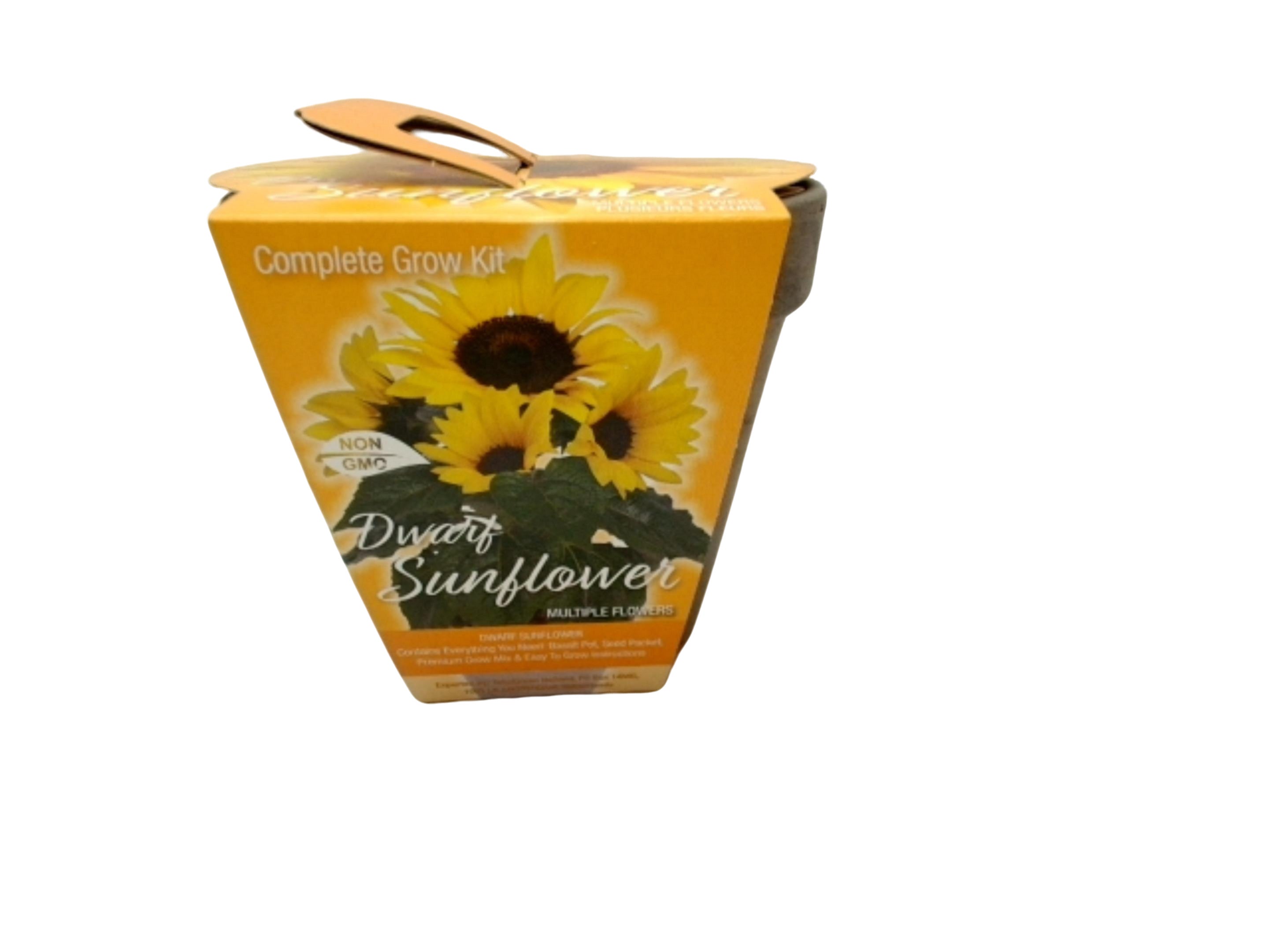 Dwarf Sunflower Pot Complete Grow Kit Totalgreen Non Gmo