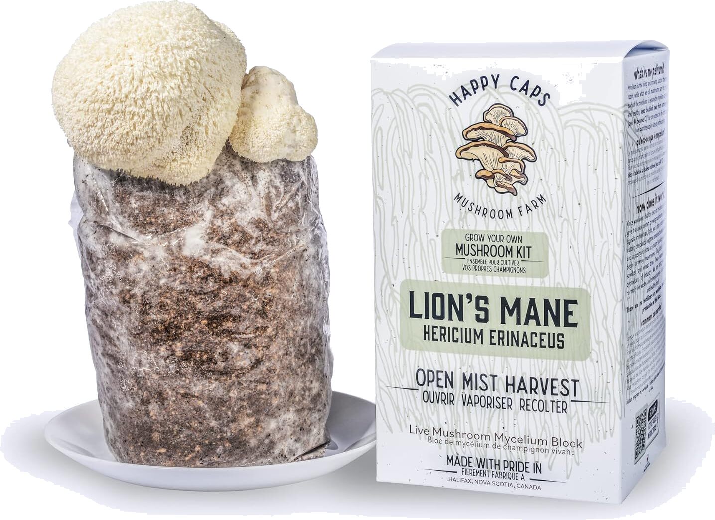Lion's Mane Mushroom Growing Kit by Happy Caps