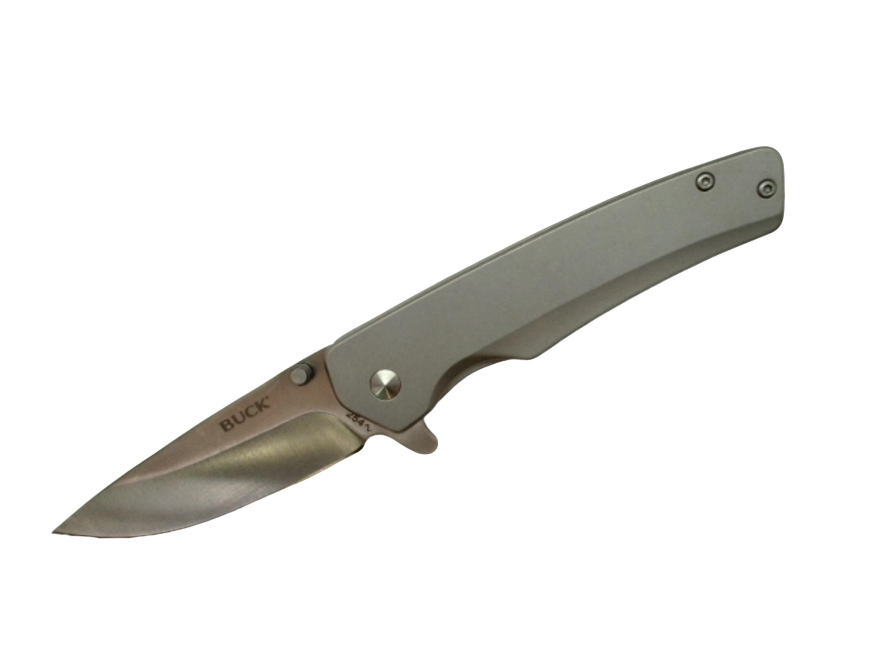 Buck Knife Odessa - Stainless Steel Handle Knife