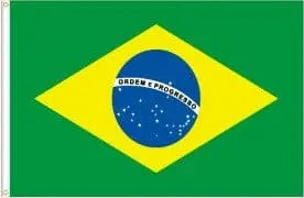 Flag 36"x60"-Brazil REPPA