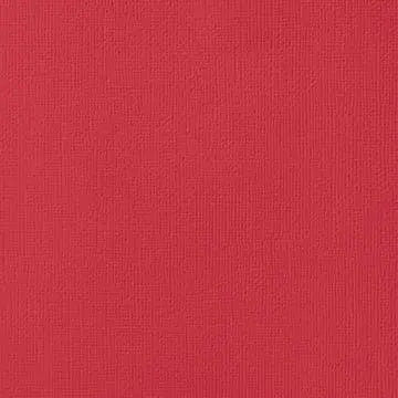 Jewel Tone Cardstock (Individual Sheet) MULTICRAFT IMPORTS INC.