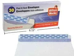 Security Envelope #10 30pc desk tech CTGBRA