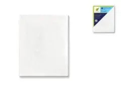 Stretch Artist Canvas: Rect. 6"x8" Primed Back-Stapled MULTICRAFT IMPORTS INC.