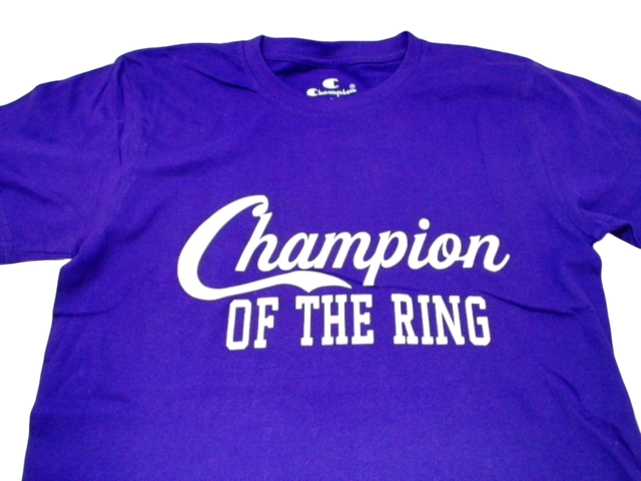 Champion Unisex T-Shirts - Assorted Colors & Sizes - Brantford Surplus