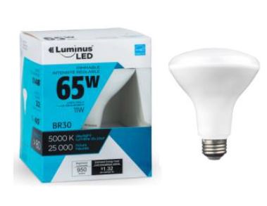 Luminus BR30 LED Bulb 11W 5000K Daylight - Brantford Surplus