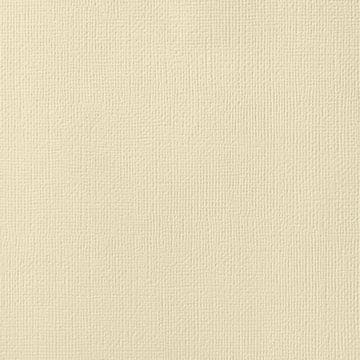 Modern Neutrals 344 Cardstock (Individual Sheet) - Brantford Surplus