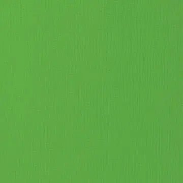 Primary Medley 3448 Cardstock (Individual Sheet) - Brantford Surplus