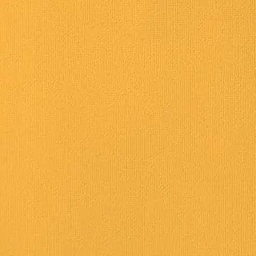 Primary Medley 3448 Cardstock (Individual Sheet) - Brantford Surplus