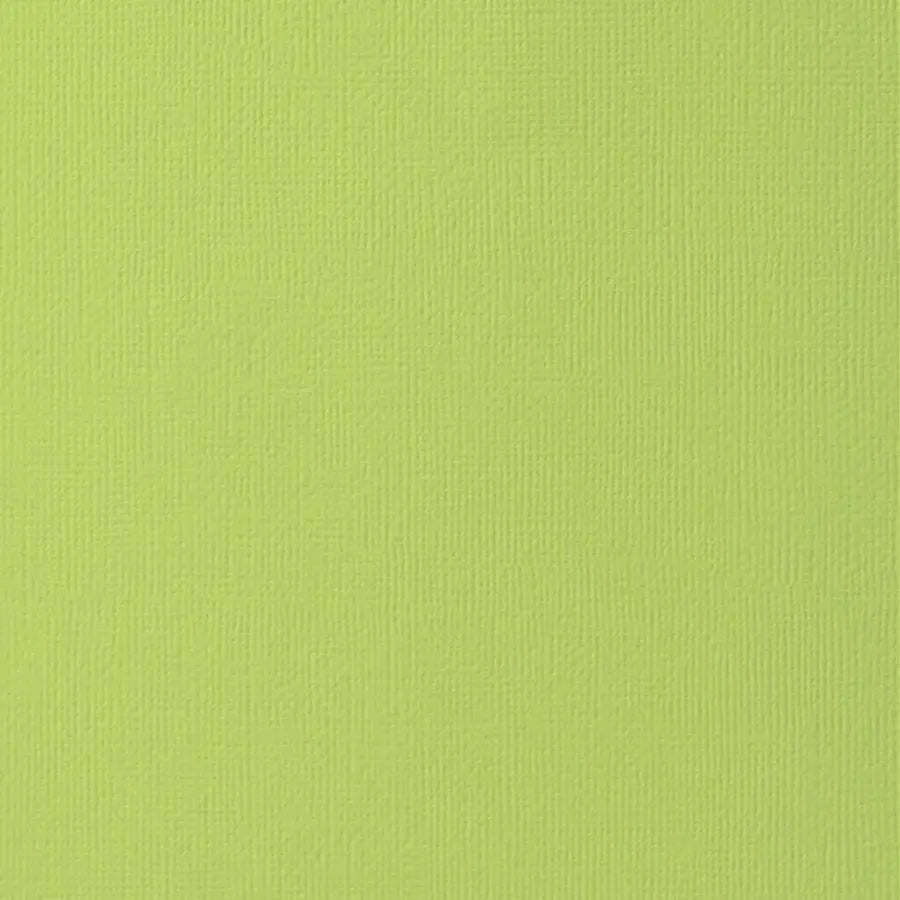 Primary Medley 3448 Cardstock (Individual Sheet) - Brantford Surplus