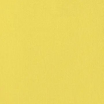 Primary Medley 3448 Cardstock (Individual Sheet) - Brantford Surplus