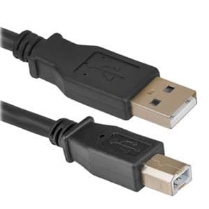 Cable - AM - BM 6 Foot USB 2.0