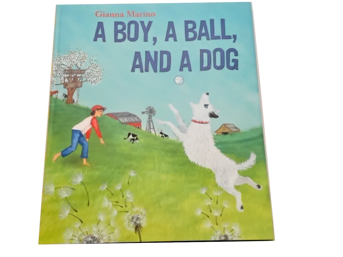 Book "a Boy, A Ball, And A Dog" - Brantford Surplus