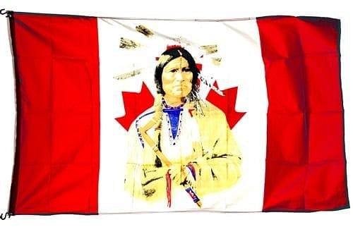 3x5 foot Flag Native Indian - Brantford Surplus