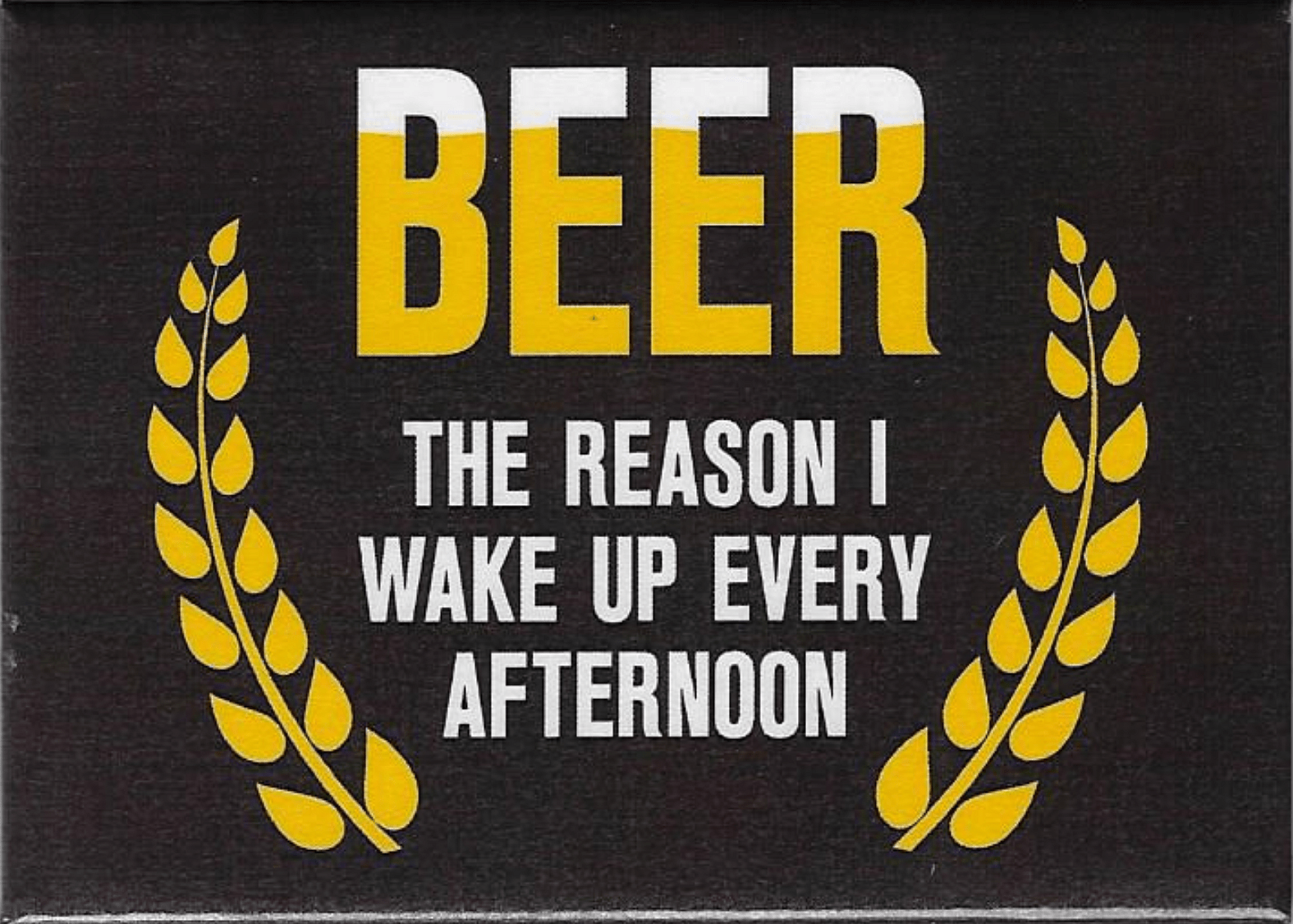 Beer Is The Reason I Wake Up Every Afternoon - Magnet - Brantford Surplus