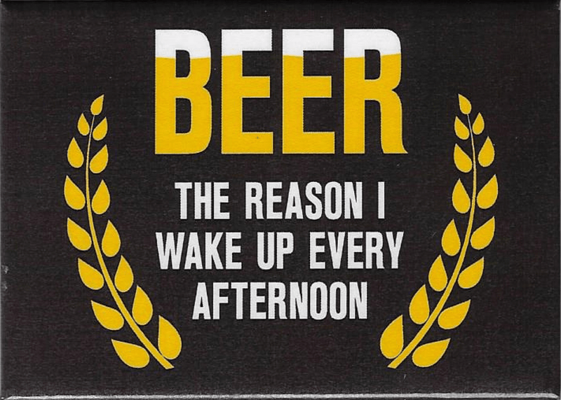 Beer Is The Reason I Wake Up Every Afternoon - Magnet