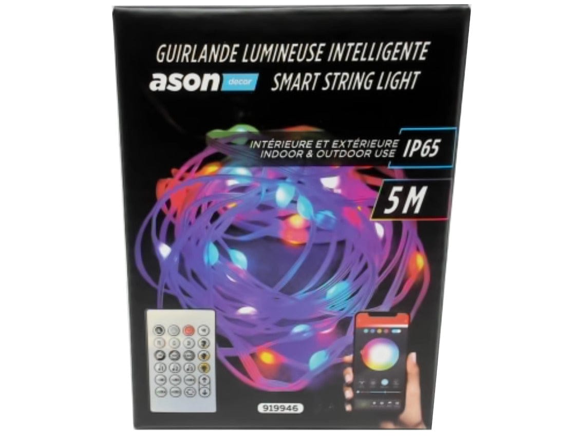 Smart String Light 5m 33 LED Indoor/Outdoor Ason Décor - Brantford Surplus