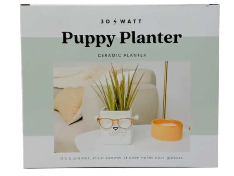 Ceramic Puppy Planter & Glasses Holder 4.33" X 4.33" X 5" 30 Watt
