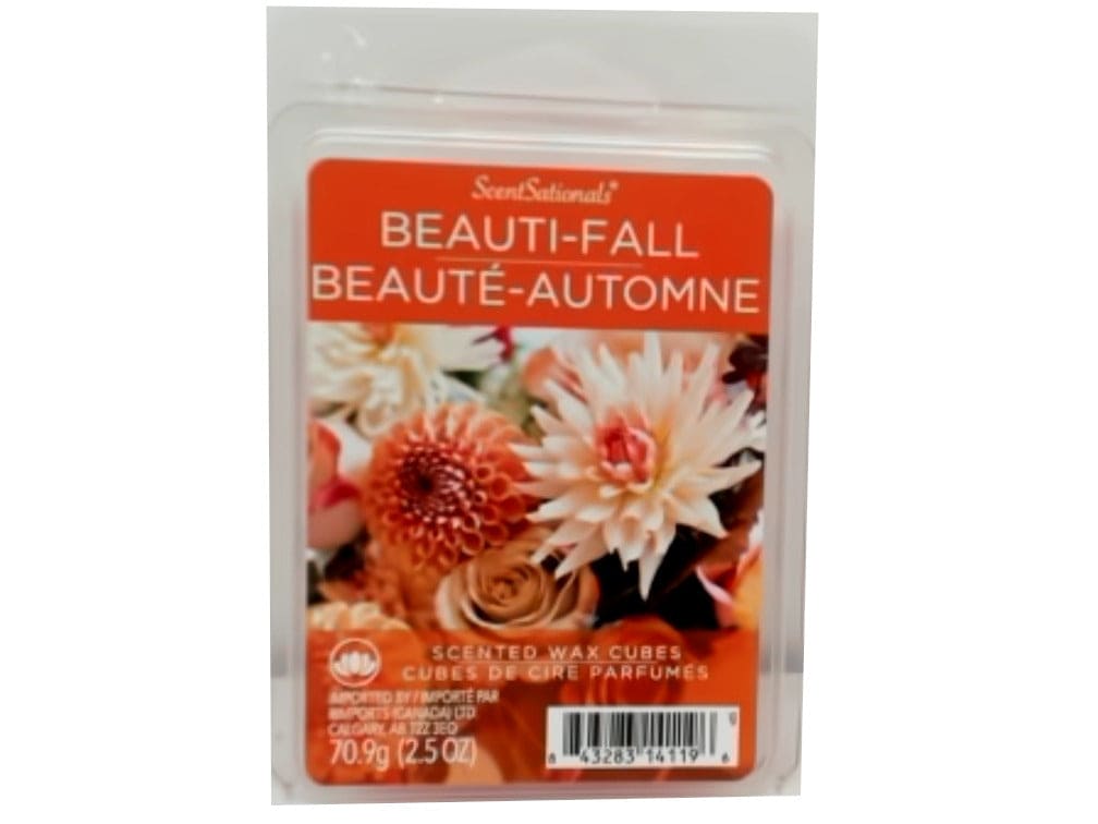 Wax Melts 2.5oz. Beauti-fall Scentsationals - Brantford Surplus