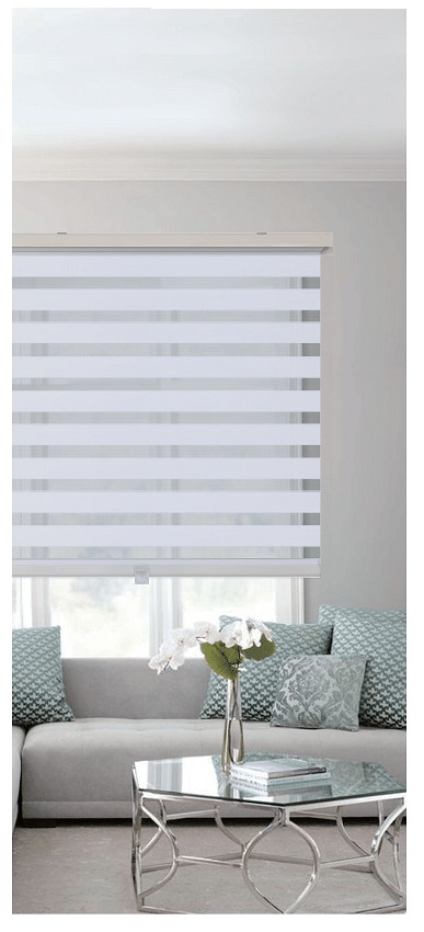 Cordless Polyester Light Filtering Zebra Blind - Brantford Surplus