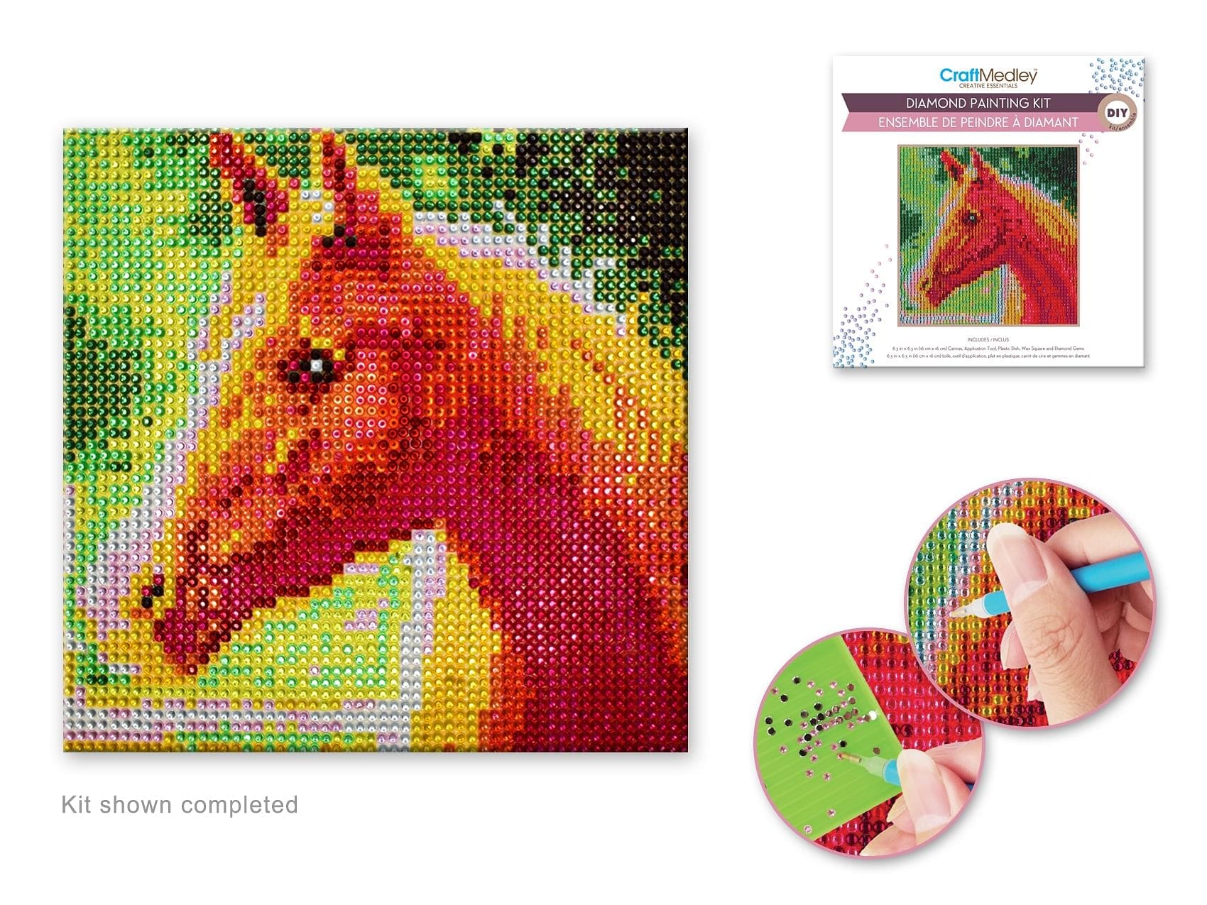 Craft Medley Kit: DIY Diamond Painting Kit A) Horse - Brantford Surplus