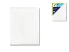 Stretch Artist Canvas: Rect. 8"x10" Primed Back-Stapled