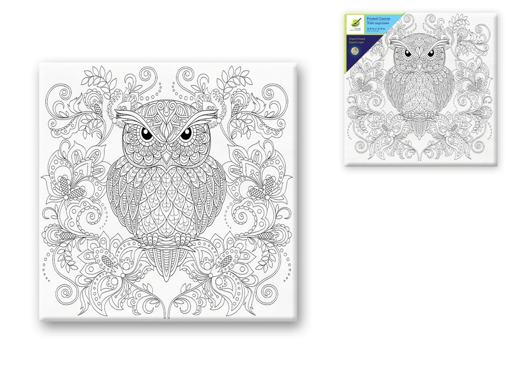 Stretch Artist Printed Canvas: 12"x12" Primed Back-StapledE) OWL - Brantford Surplus