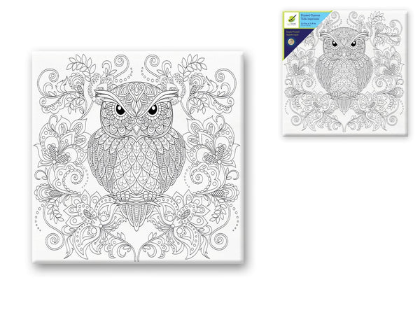 Stretch Artist Printed Canvas: 12"x12" Primed Back-StapledE) OWL