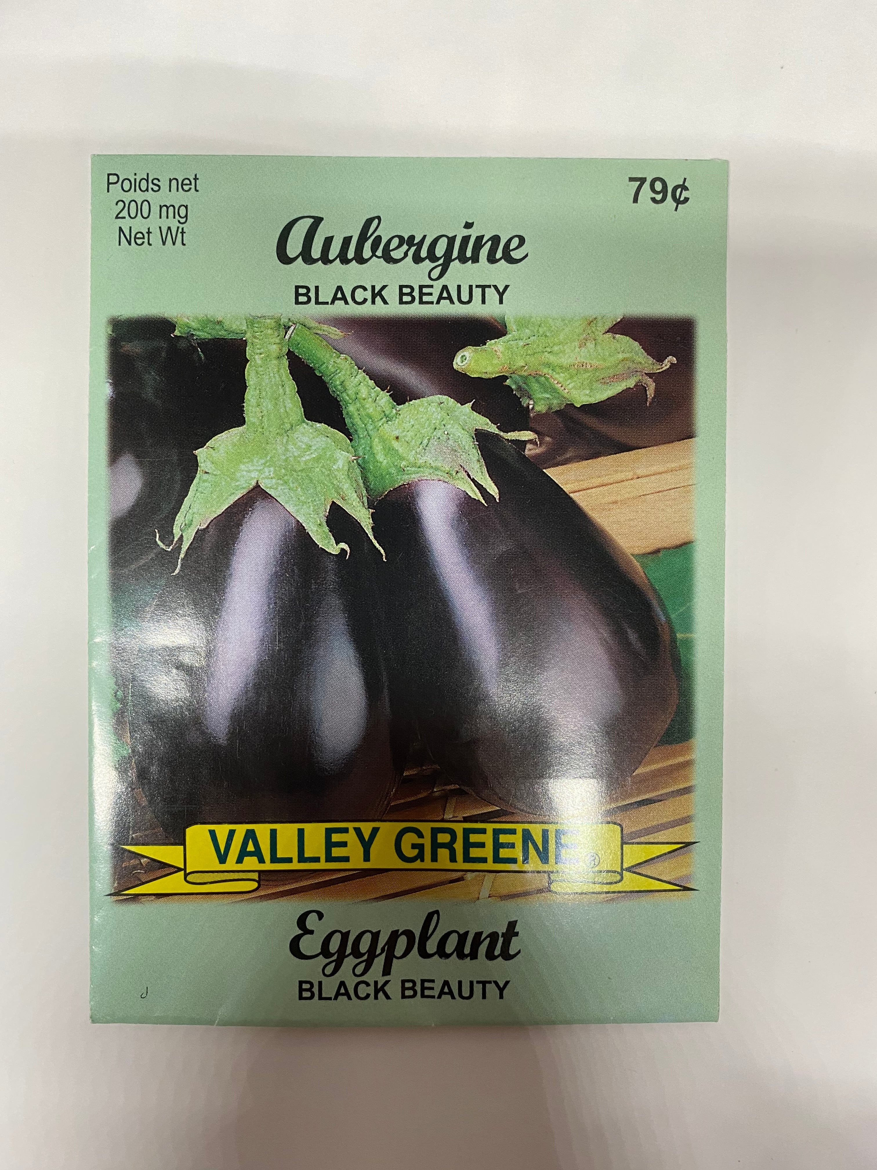 Eggplant Black Beauty Valley Greene - Brantford Surplus