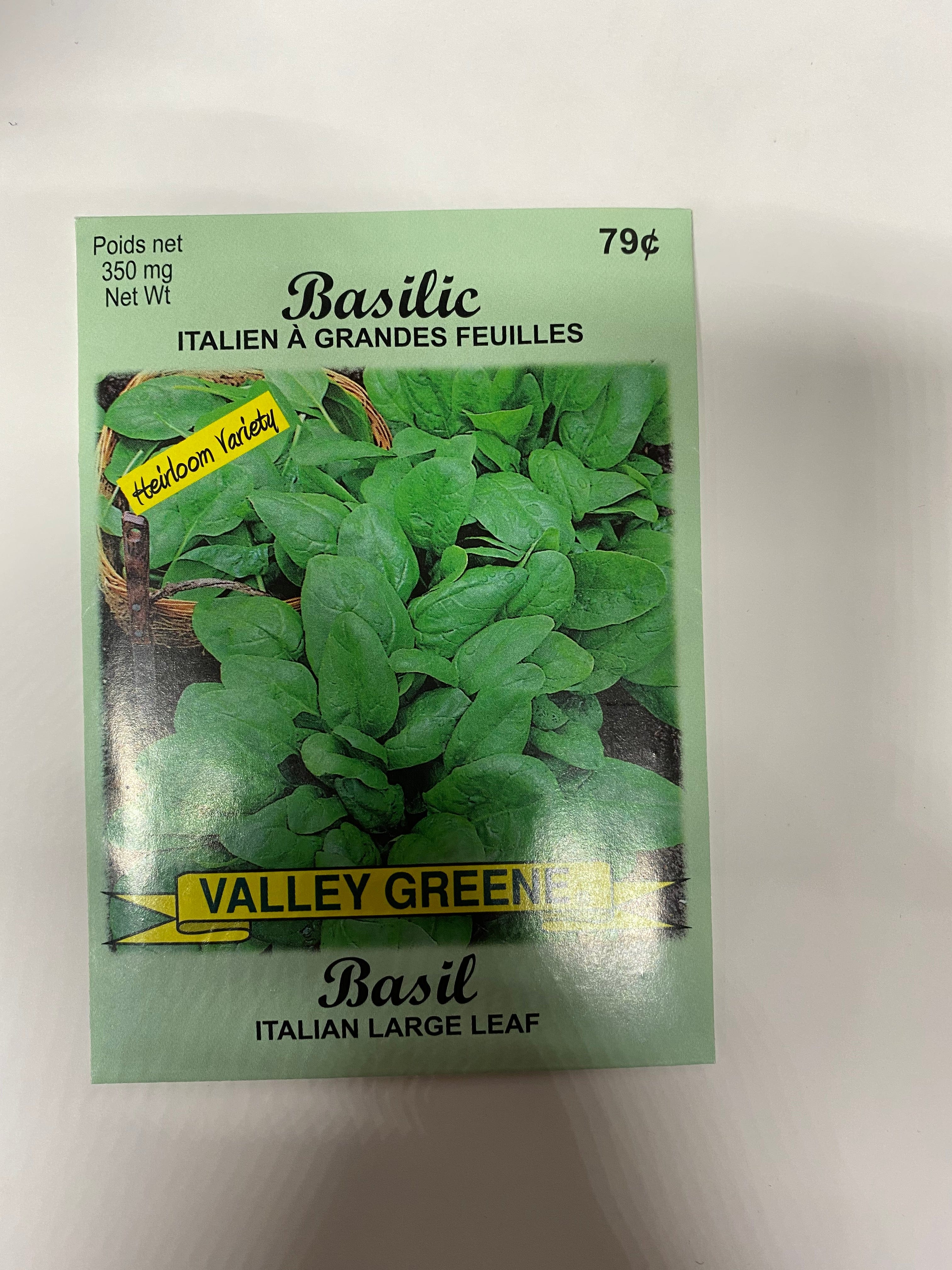 Basil Italian Large Leaf Valley Greene - Brantford Surplus