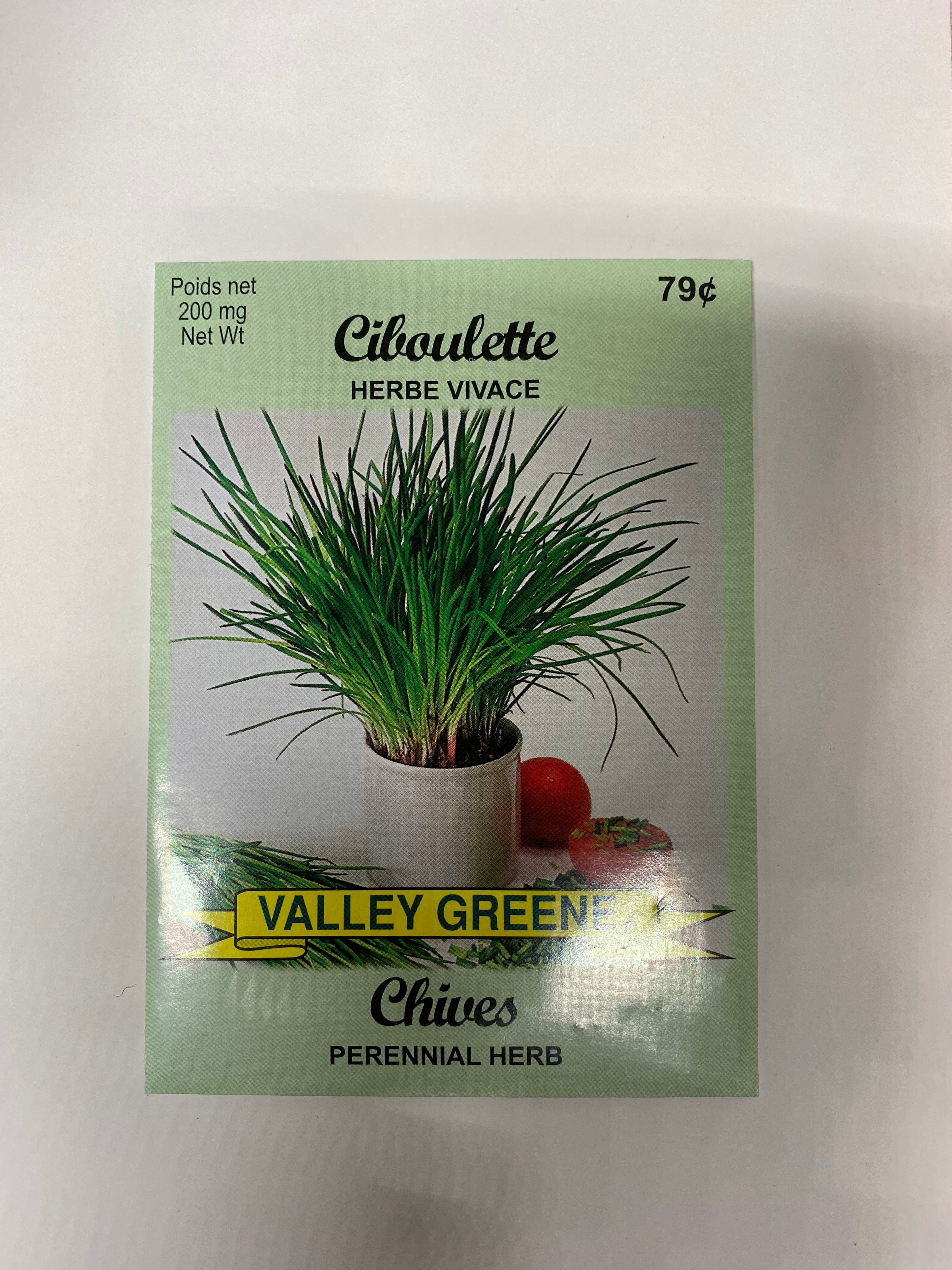 Chives Perennial Herb Valley Greene - Brantford Surplus