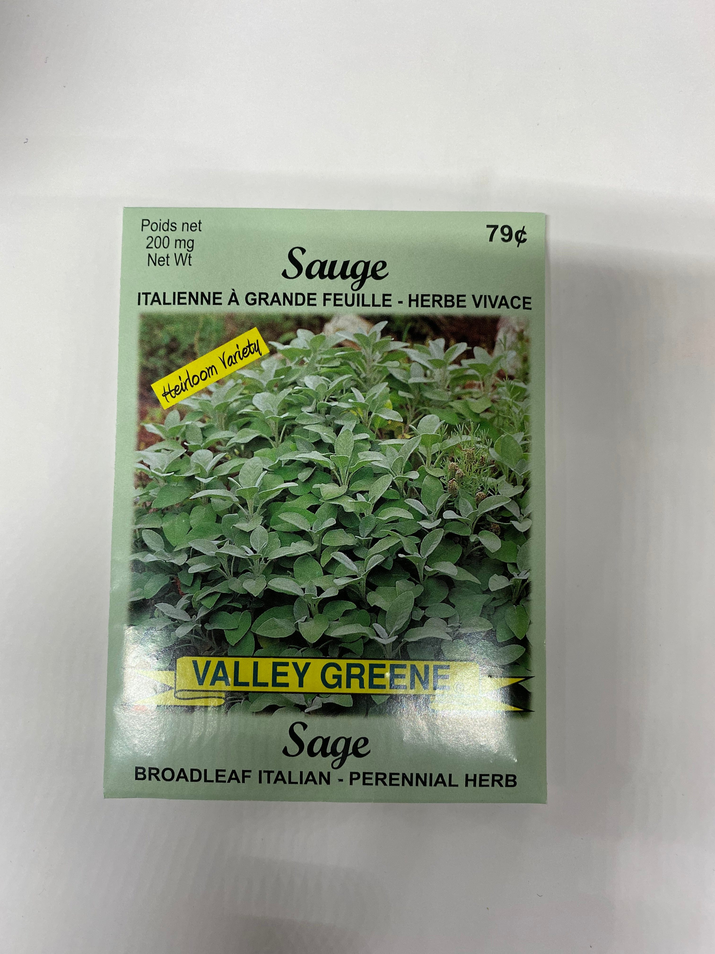 Sage Broadleaf Italian Valley Greene - Brantford Surplus