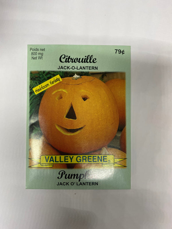 Pumpkin Jack O'Lantern Valley Greene