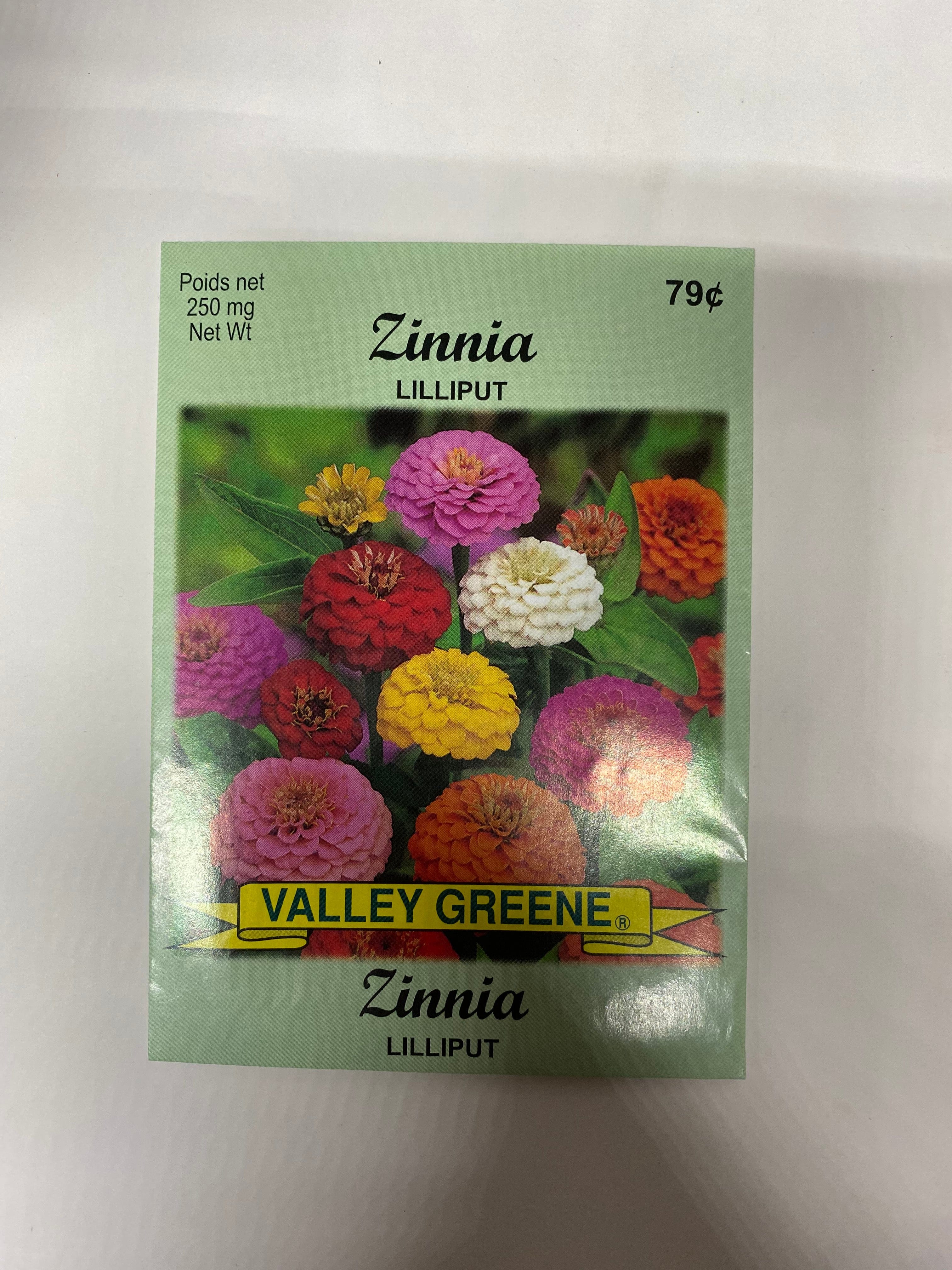 Zinnia Lilliput Valley Greene - Brantford Surplus