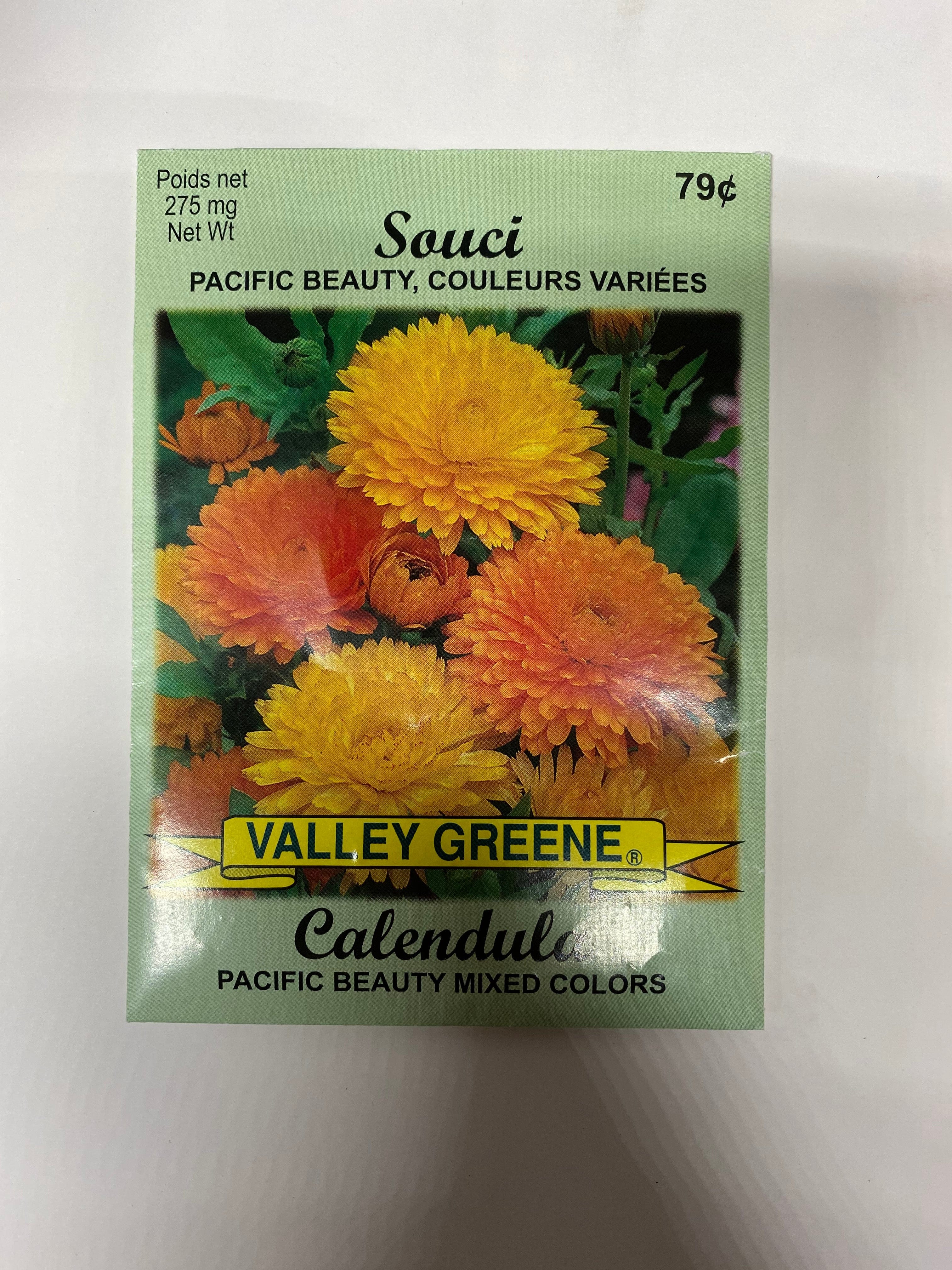 Calendula Pacific Beauty Mixed Colors Valley Greene - Brantford Surplus