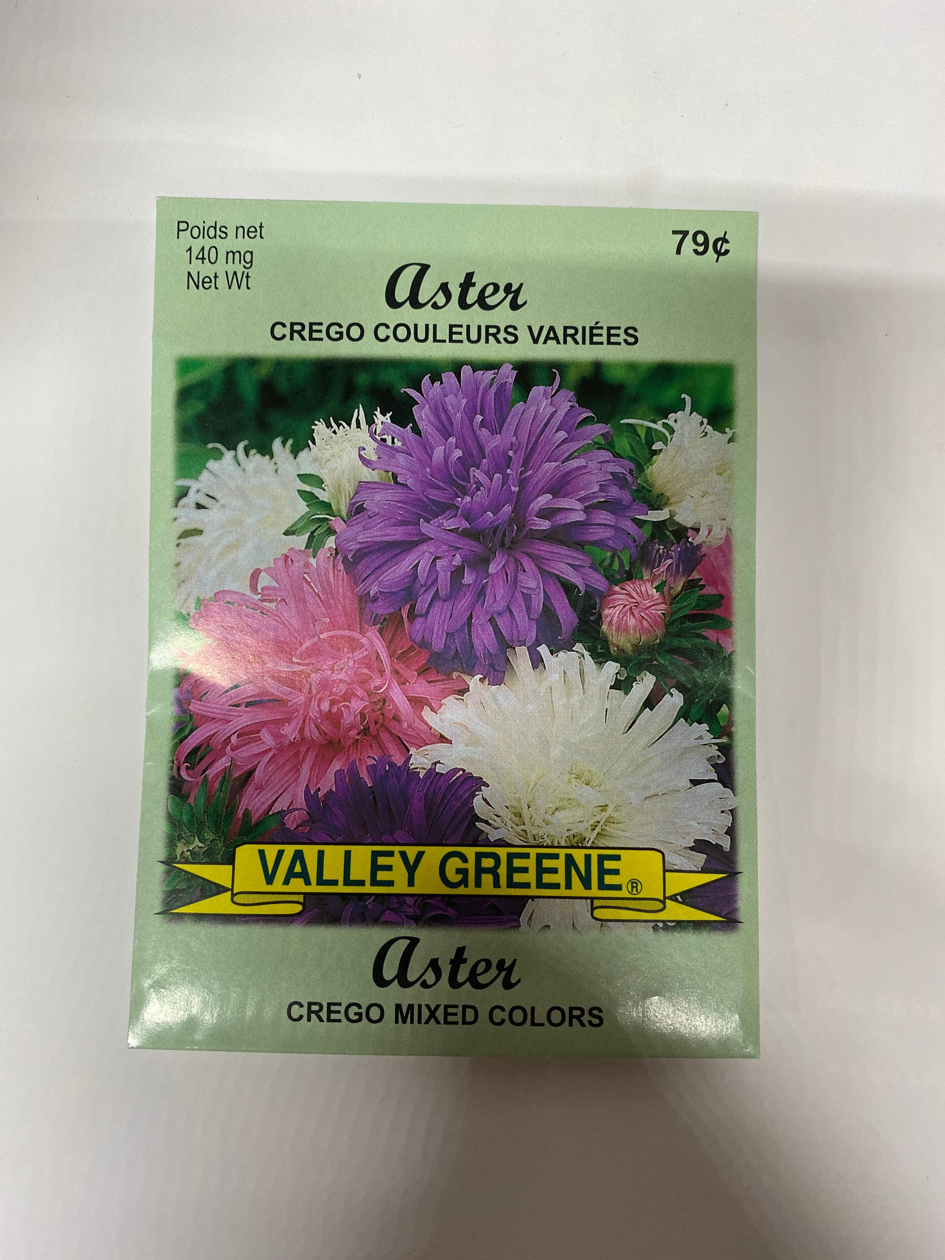 Aster Crego Mixed Colors Valley Greene - Brantford Surplus