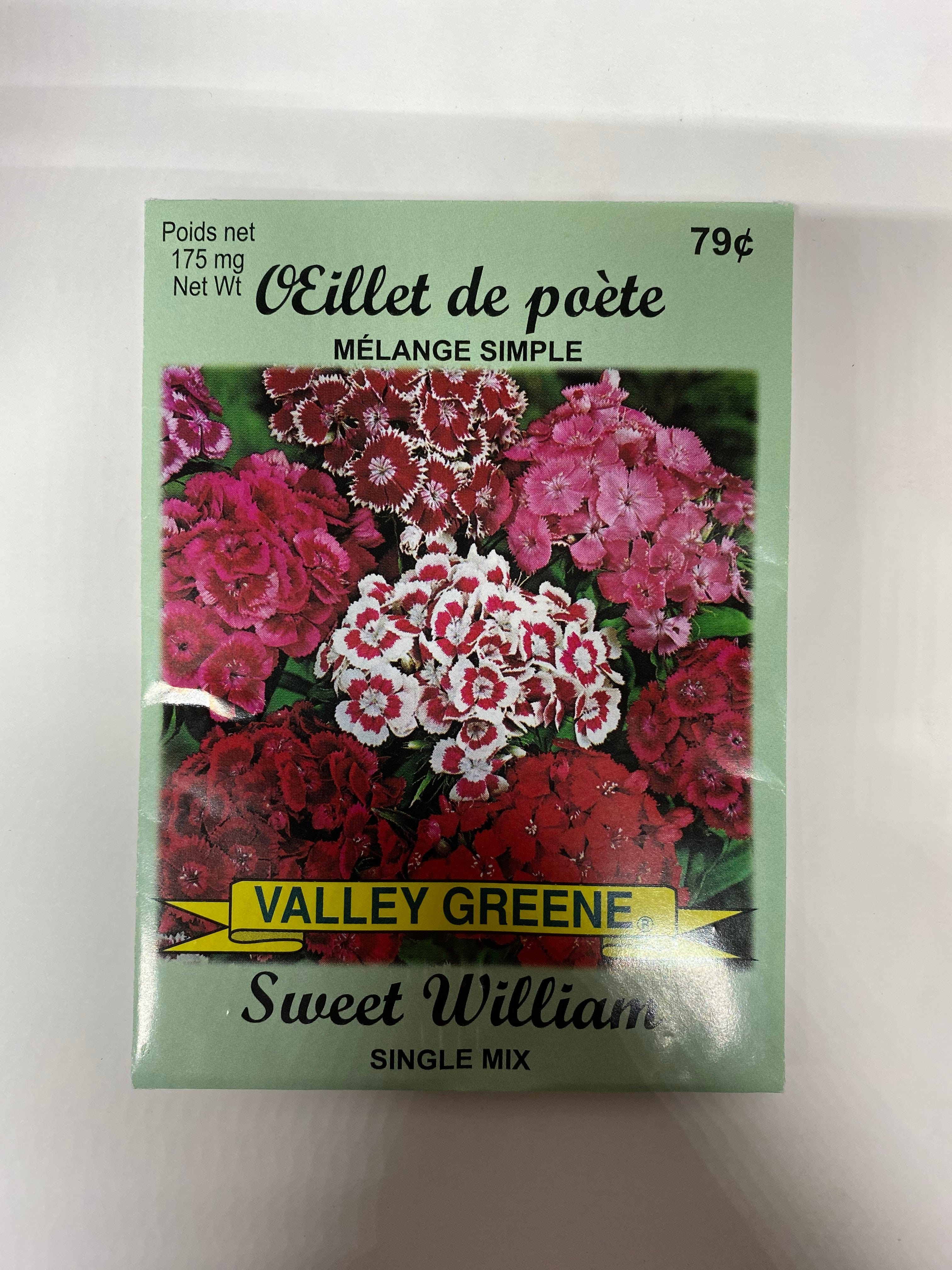 Sweet William Single Mix Valley Greene - Brantford Surplus